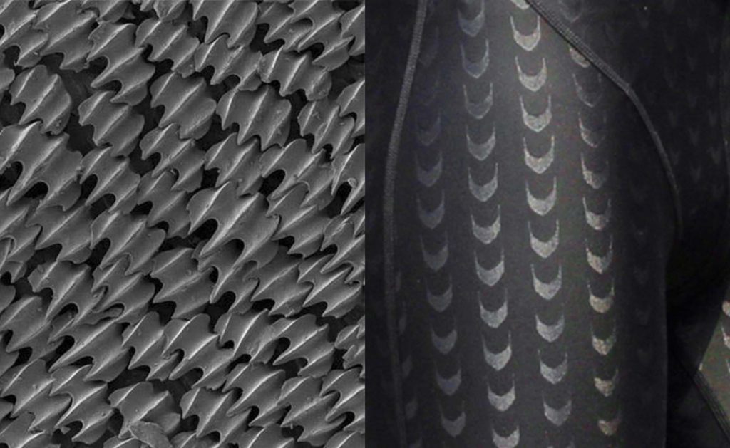 Textil hidrodinámico basado en los dentículos dérmicos de los tiburones.