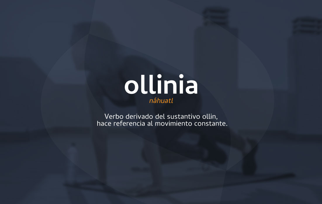 Naming de Olinia, por Graycat Design Studio
